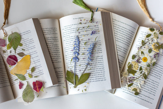 Guía de cuidados para separadores de libros con flores prensadas