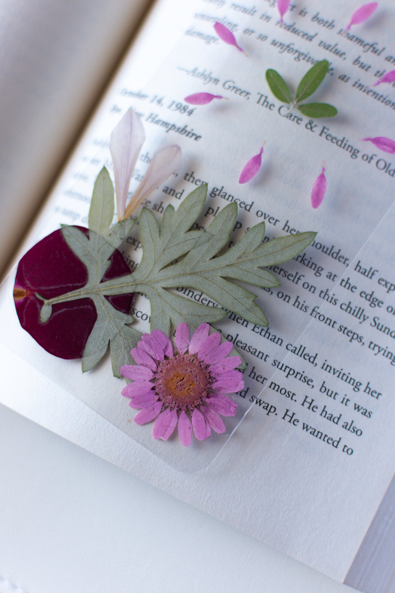 Un separador de libros transparente con flores prensadas en su interior de color rosa y verde.