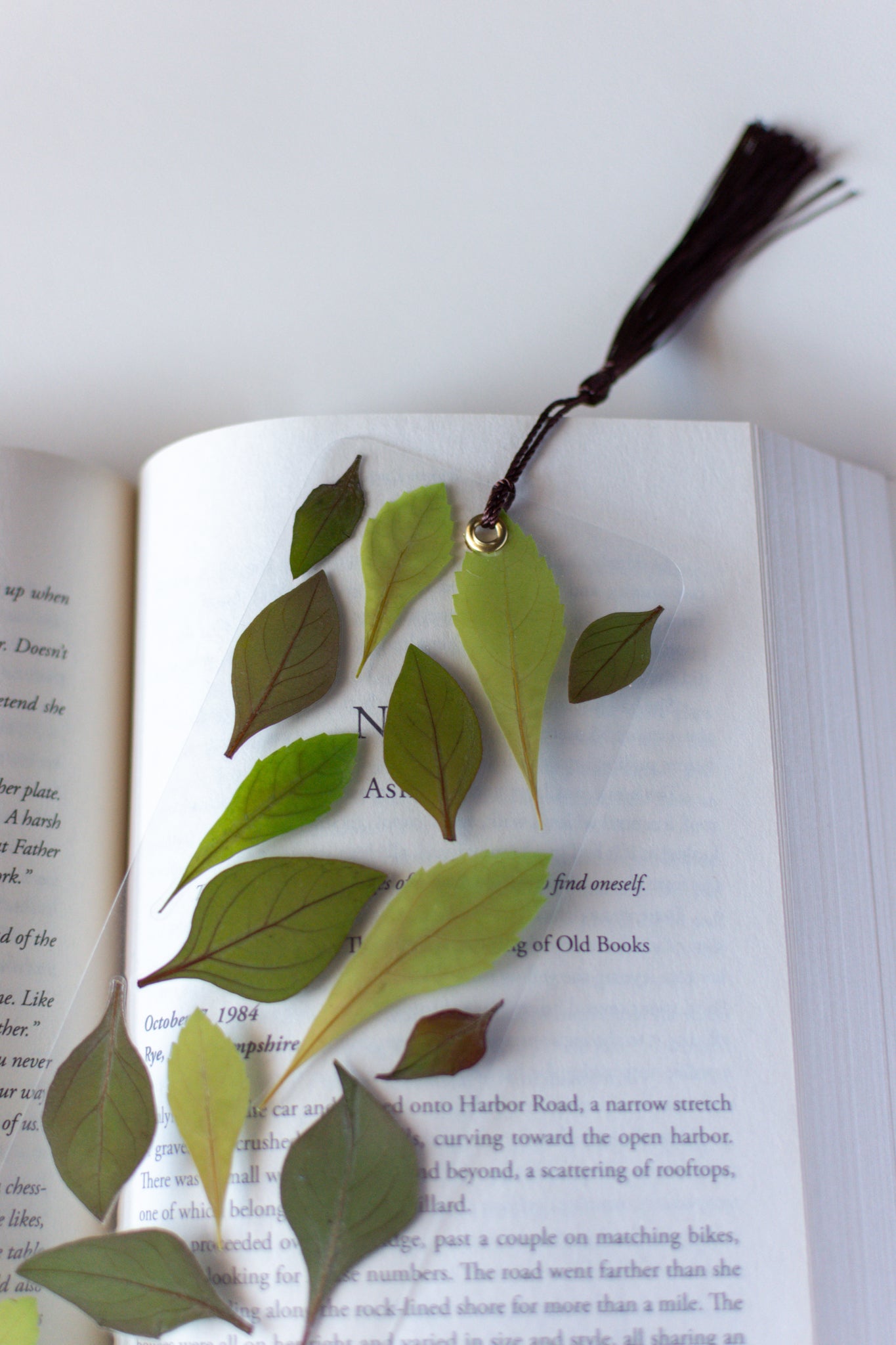 Un separador de libros transparente con hojas prensadas en su interior de color verde.