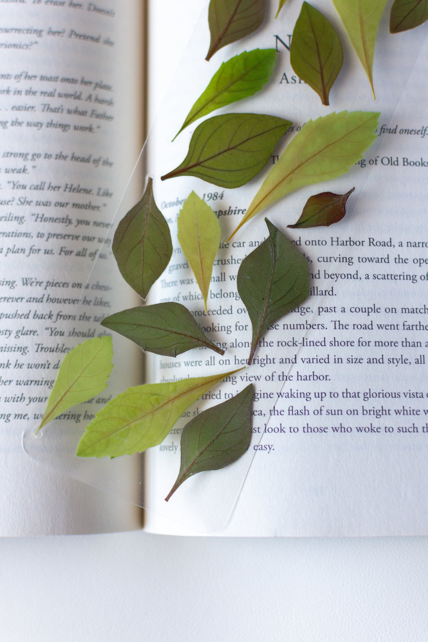 Un separador de libros transparente con hojas prensadas en su interior de color verde.