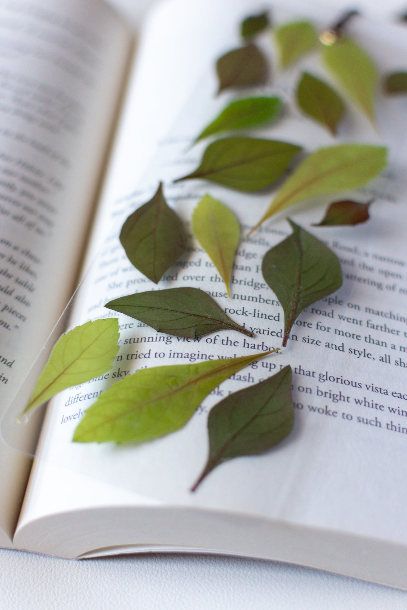 Un separador de libros transparente con hojas prensadas en su interior de color verde. 