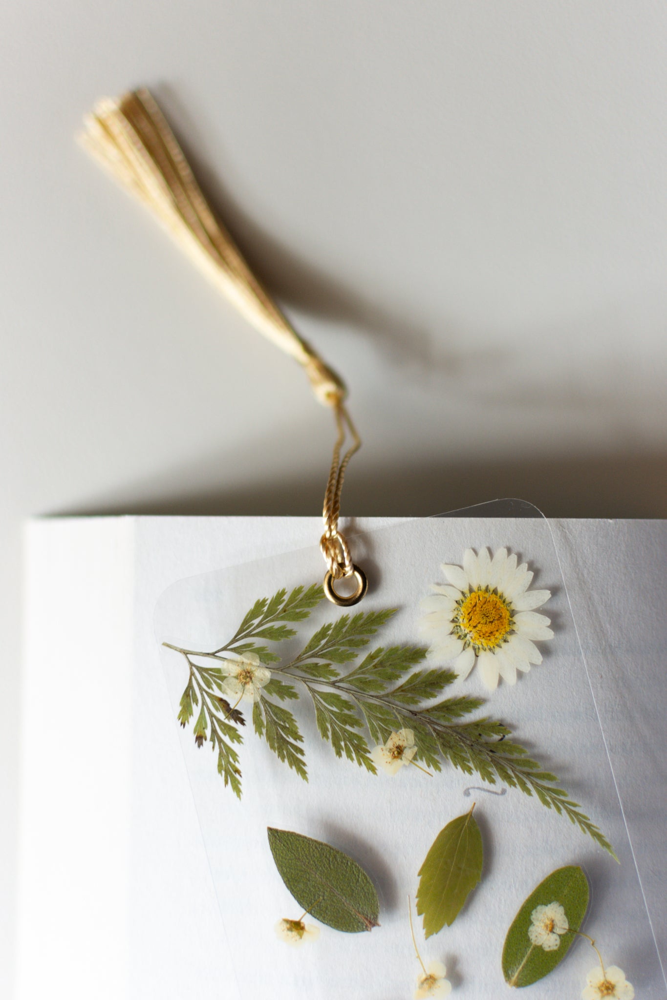 Un separador de libros transparente con flores prensadas en su interior de color blanco y hojas verdes.