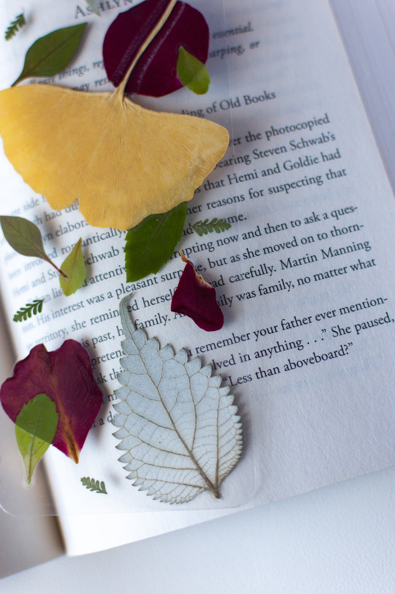 Un separador de libros transparente con hojas prensadas en su interior de color verde, amarillo y pétalos rojos.