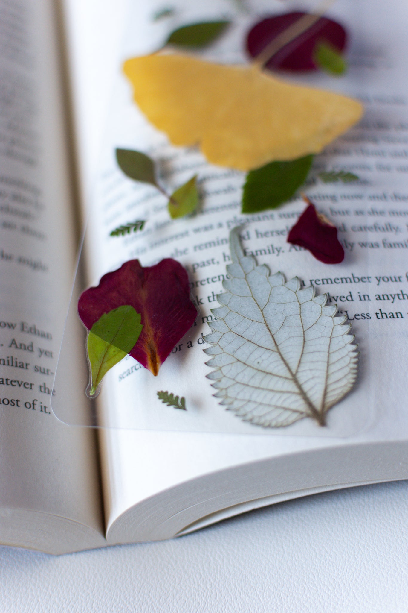 Un separador de libros transparente con hojas prensadas en su interior de color verde, amarillo y pétalos rojos.