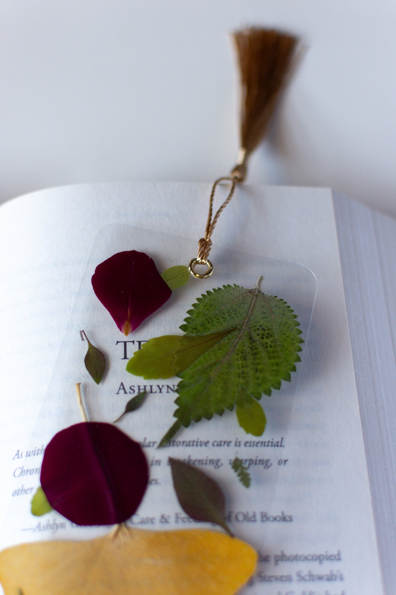 Un separador de libros transparente con hojas prensadas en su interior de color verde, amarillo y pétalos rojos.