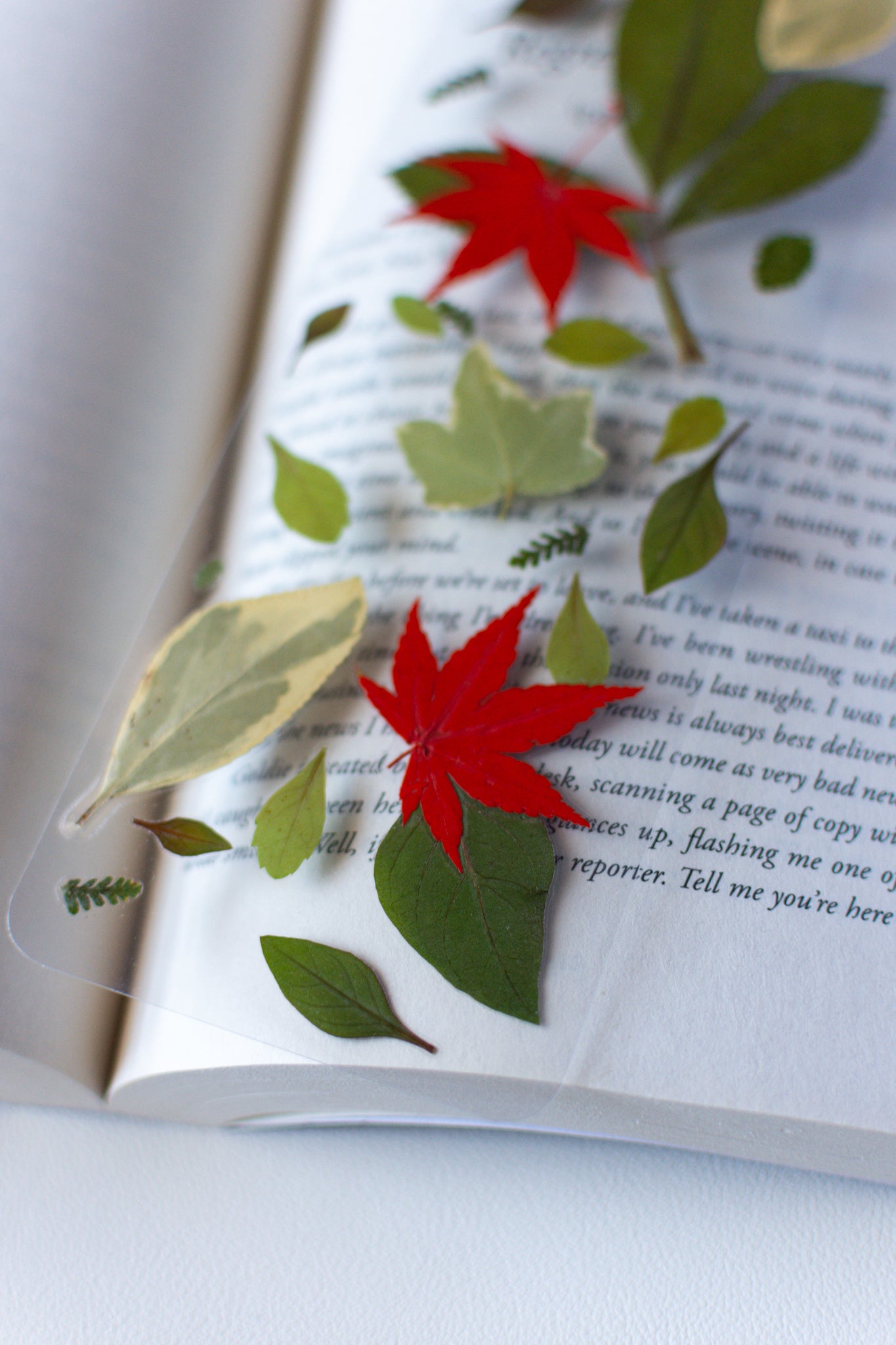 Un separador de libros transparente con hojas prensadas en su interior de color verde y rojas.