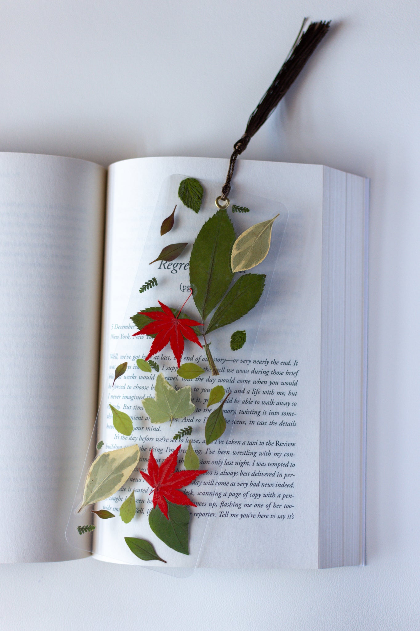 Un separador de libros transparente con hojas prensadas en su interior de color verde y rojas.