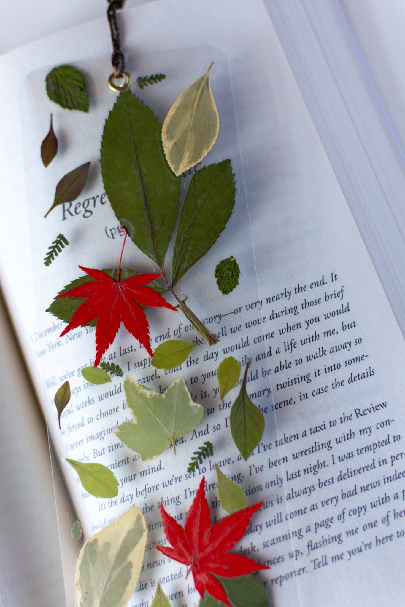 Un separador de libros transparente con hojas prensadas en su interior de color verde y rojas.